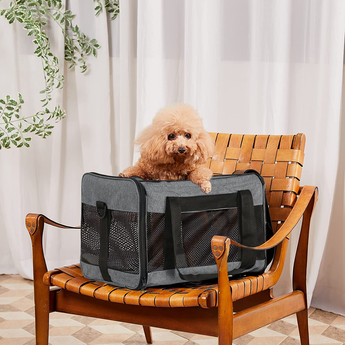 Cat Carrier Dog Carrier Pet Carrier for Small Medium Cats Dogs Puppies of 15 Lbs,Airline Approved Soft Sided Pet Travel Carrier,Dog Carriers for Small Dogs - Black Grey Purple Blue Brown